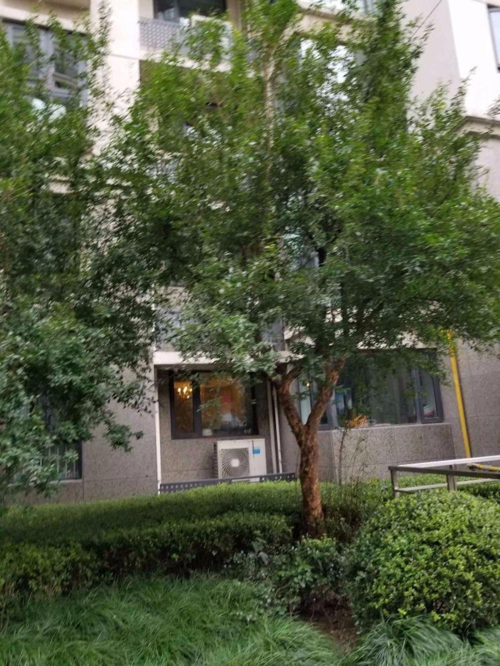 上海漕河景苑二手房房源图片