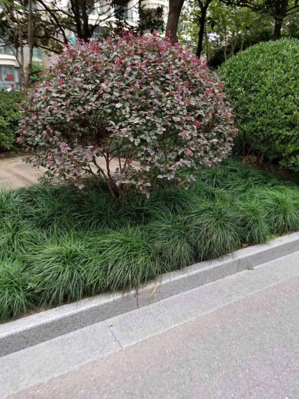 上海漕河景苑二手房房源图片