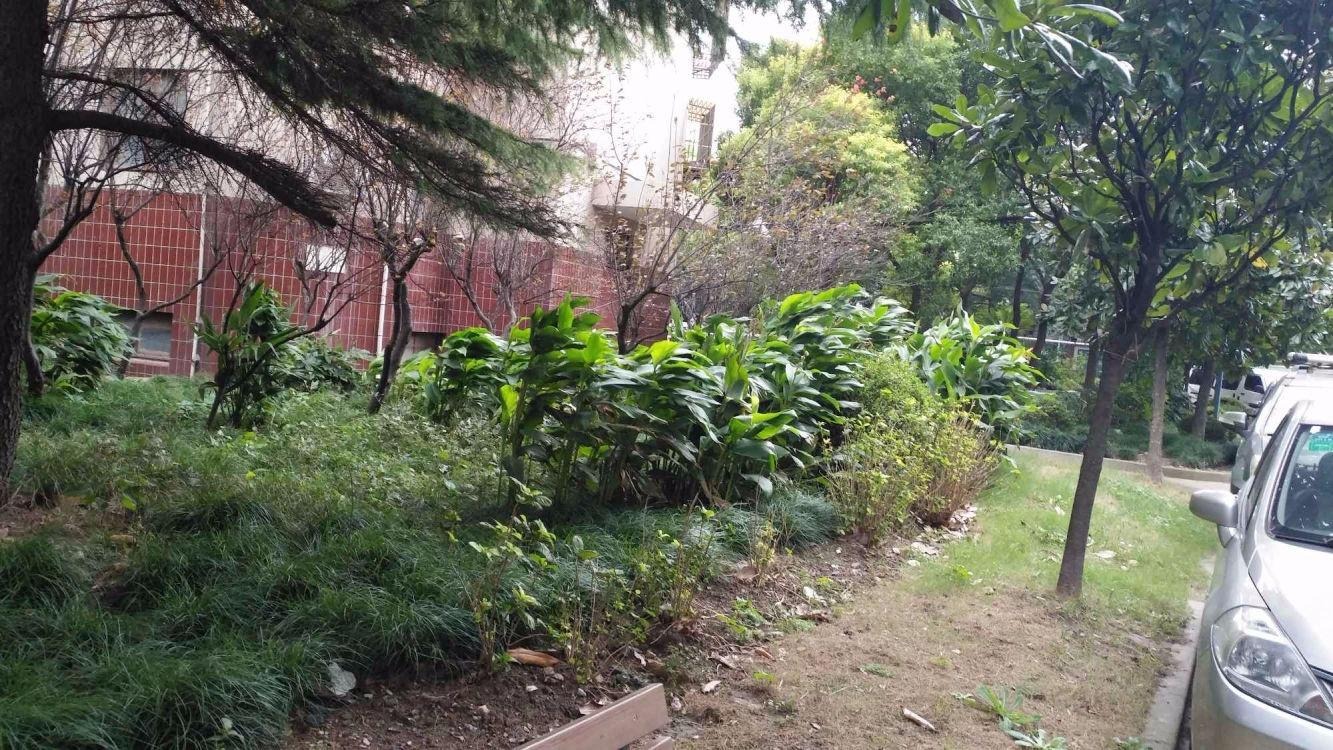 上海钦州花苑二手房房源图片