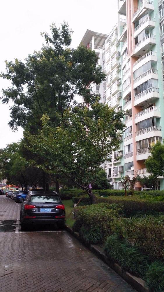 上海万科华尔兹花园二手房房源图片