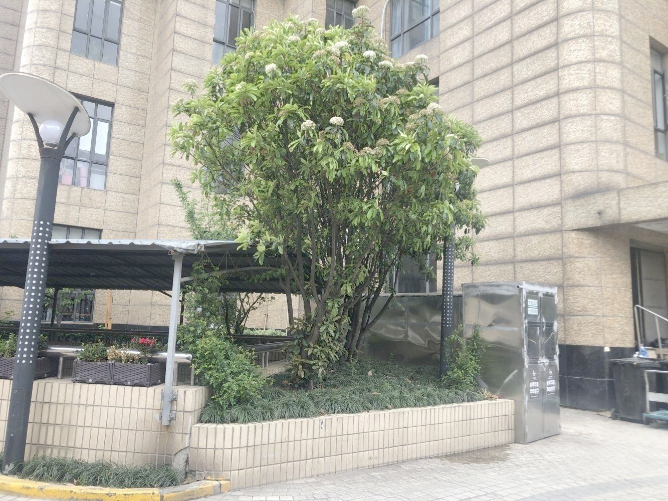 上海巴黎时韵二手房房源图片