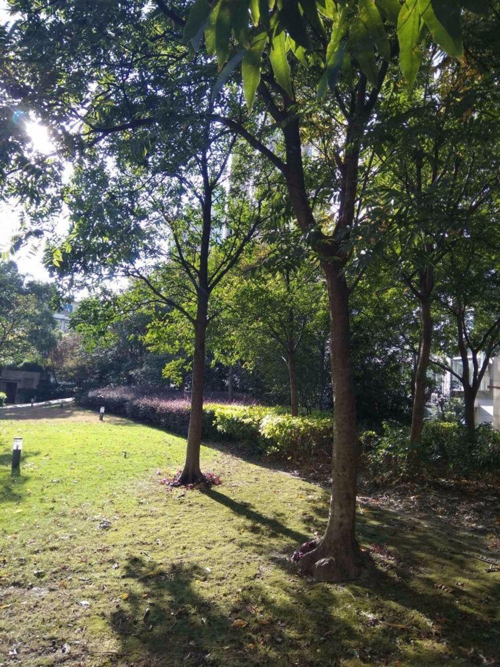 上海金色家园二手房房源图片