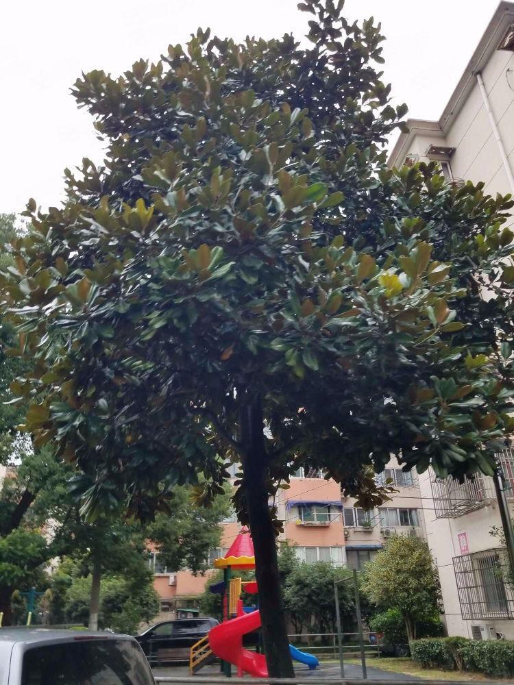 上海寿祥坊二手房房源图片