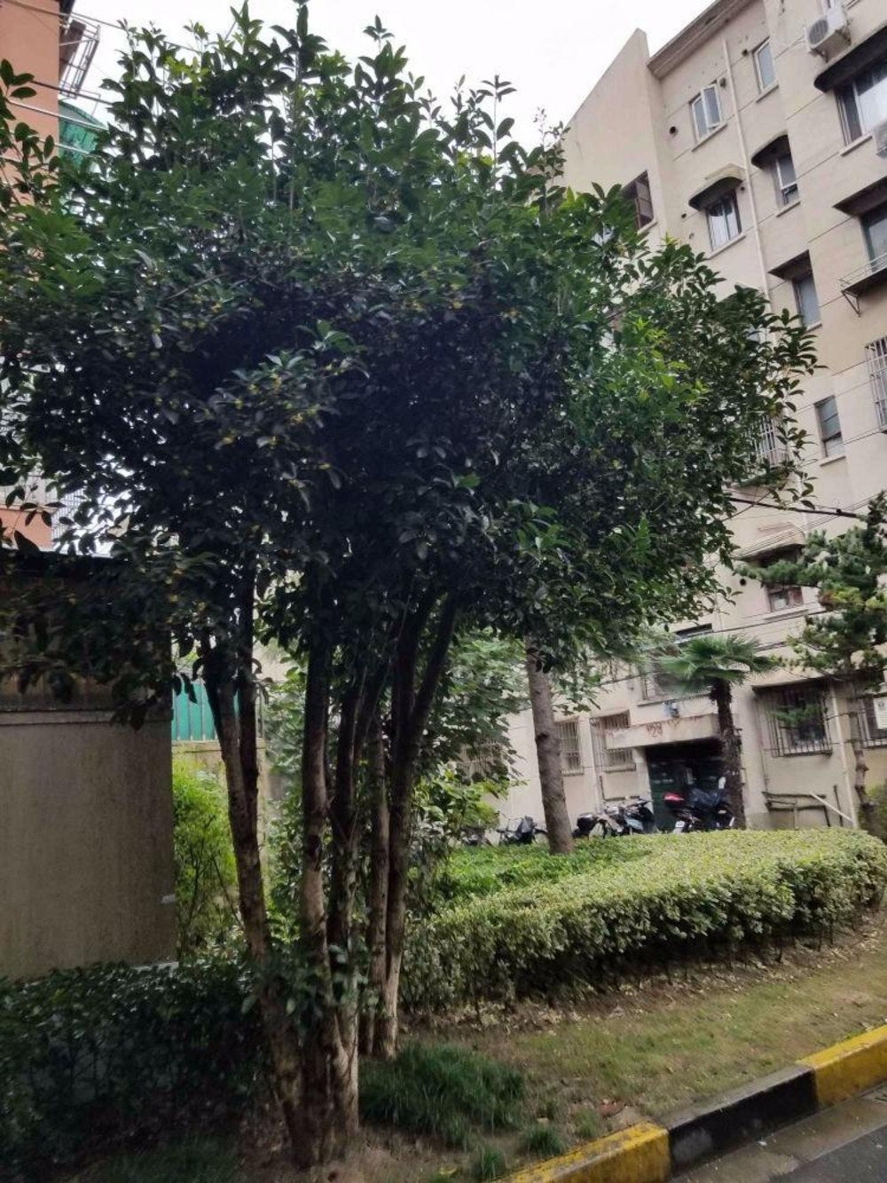 上海寿祥坊二手房房源图片