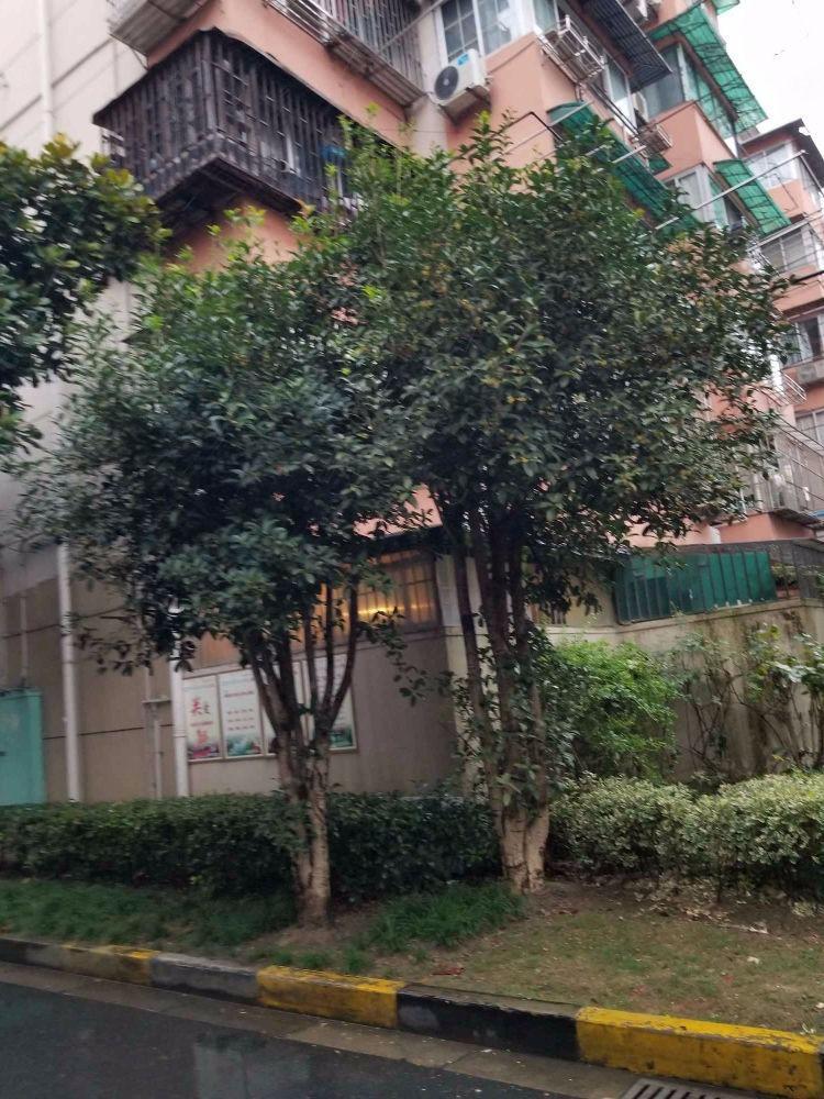 上海寿祥坊二手房房源图片