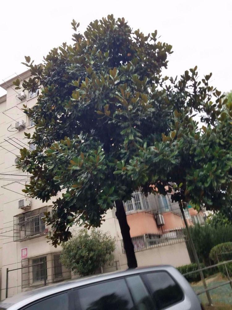 上海寿祥坊二手房房源图片