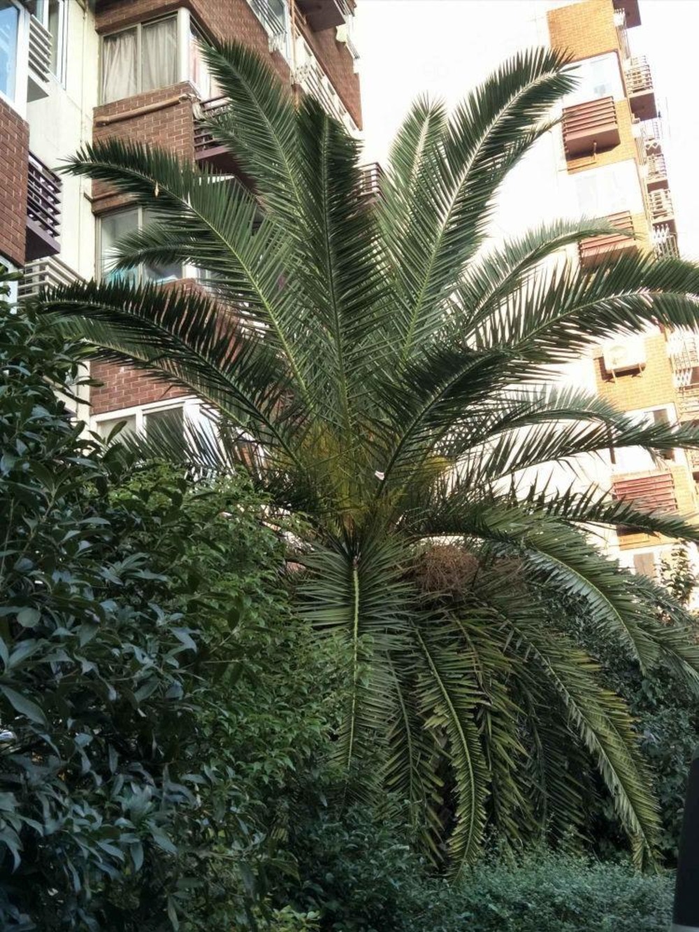 上海振兴大楼二手房房源图片