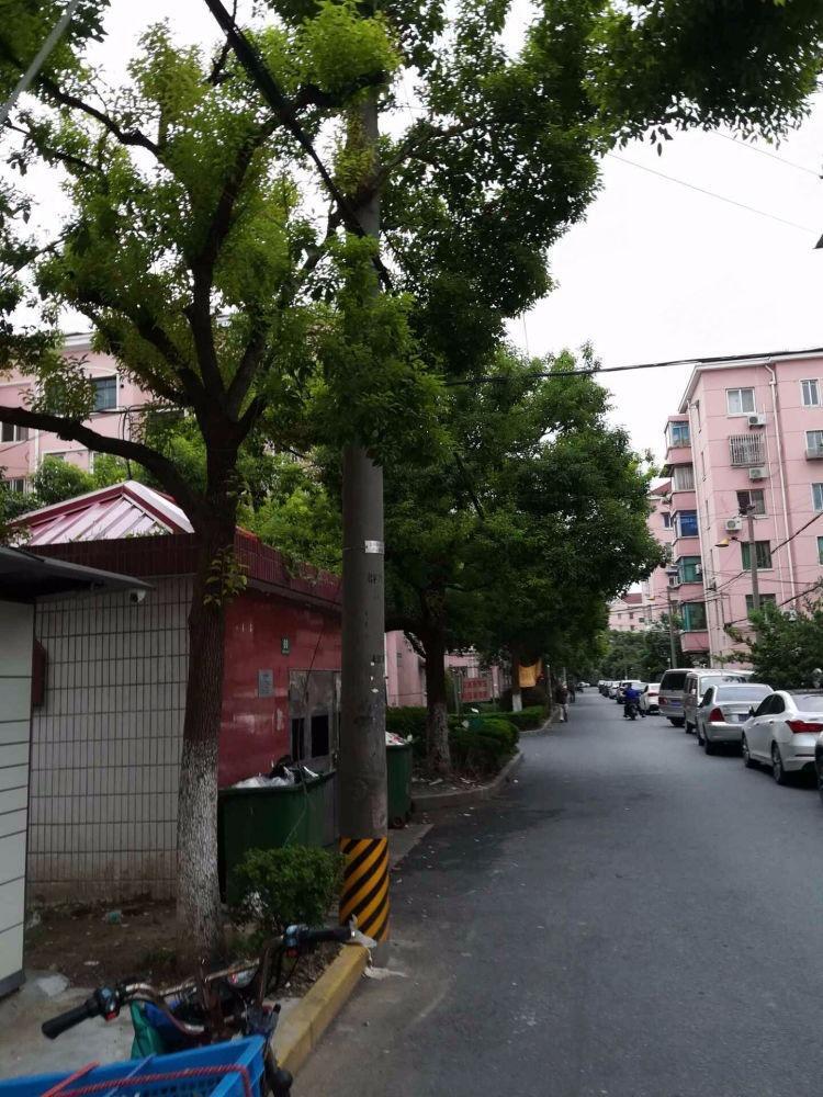 上海潼港二村二手房房源图片