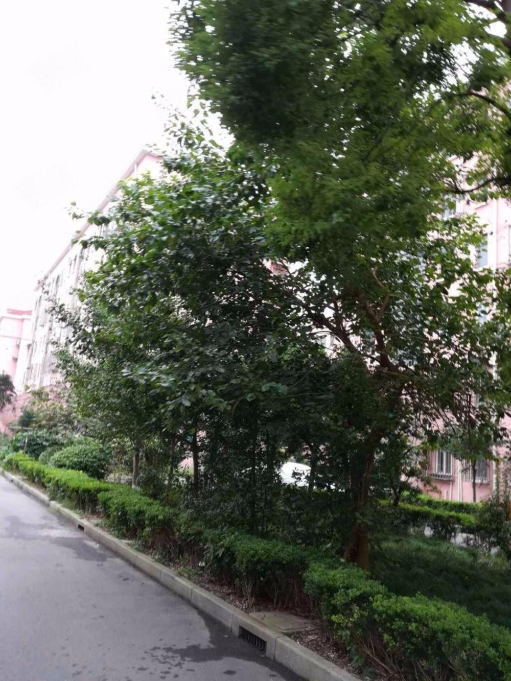上海潼港二村二手房房源图片