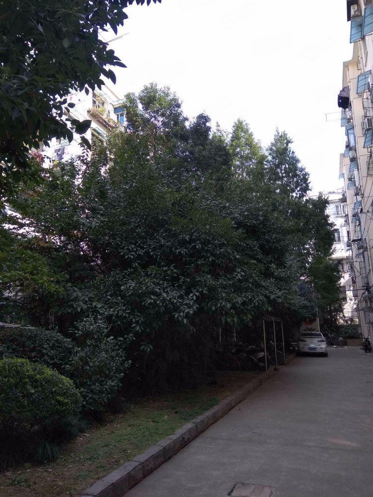 上海宁波小区二手房房源图片