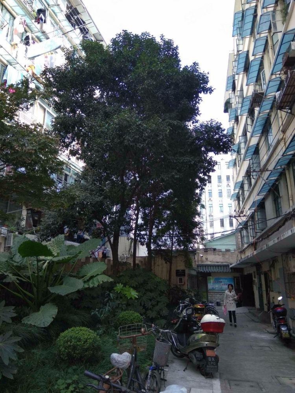 上海宁波小区二手房房源图片