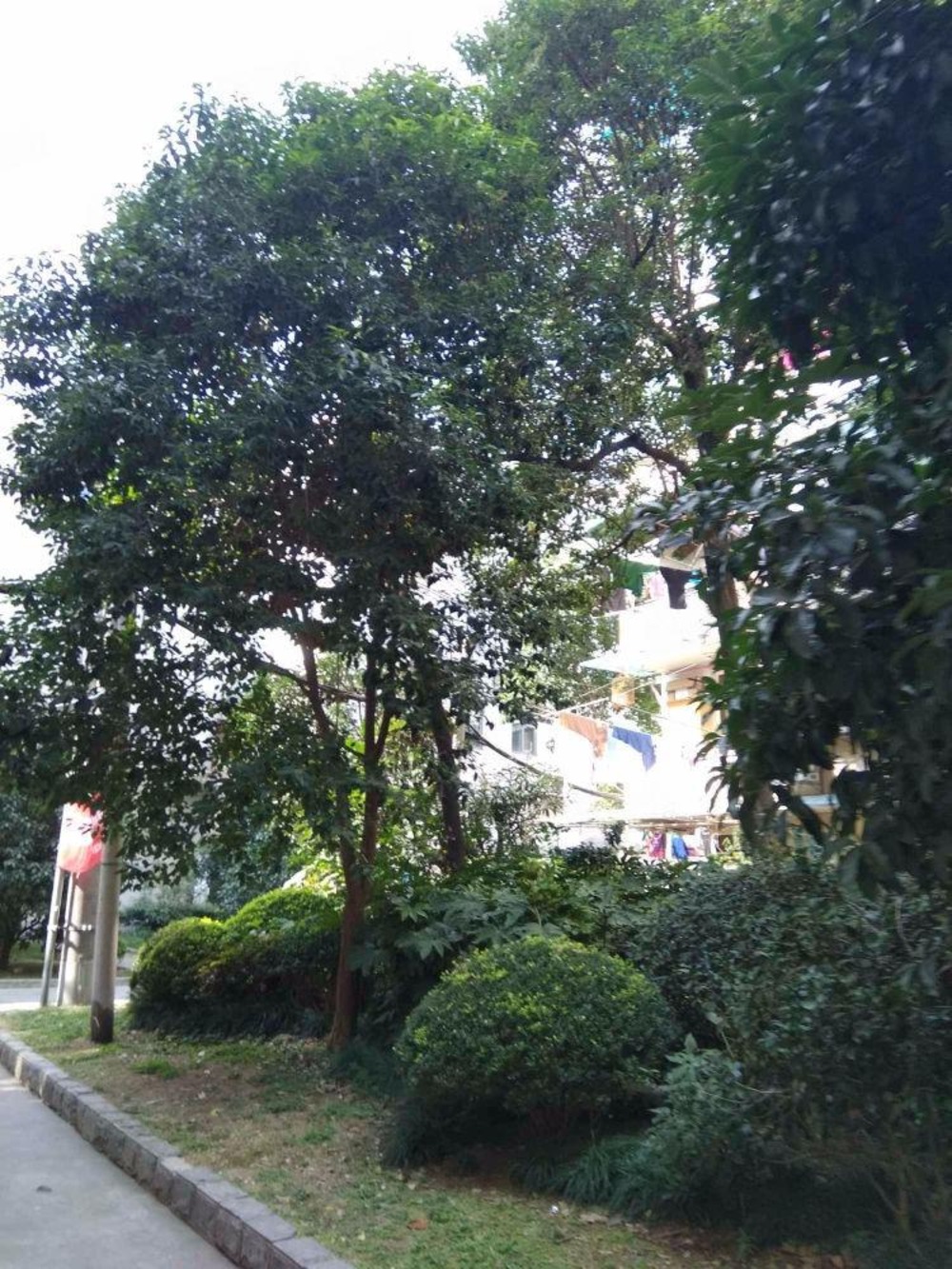 上海宁波小区二手房房源图片