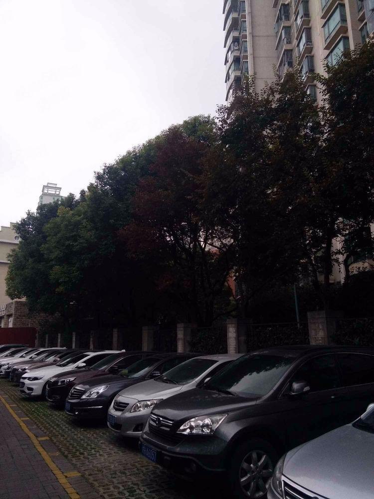 上海上海滩花园二手房房源图片