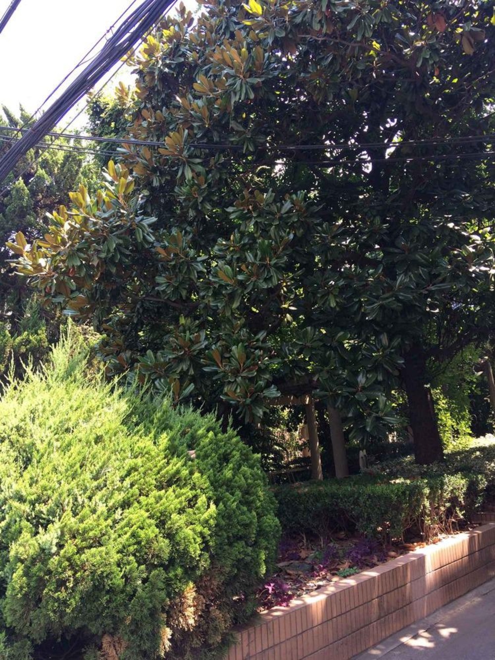 上海上方花园二手房房源图片