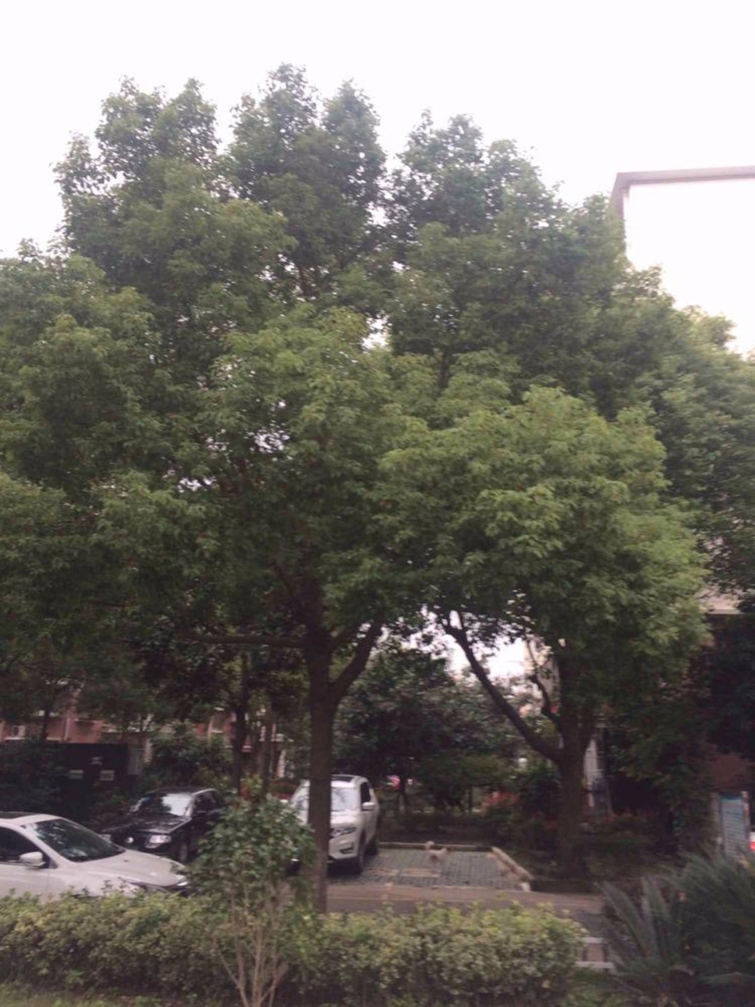上海伟业金锦苑二村二手房房源图片