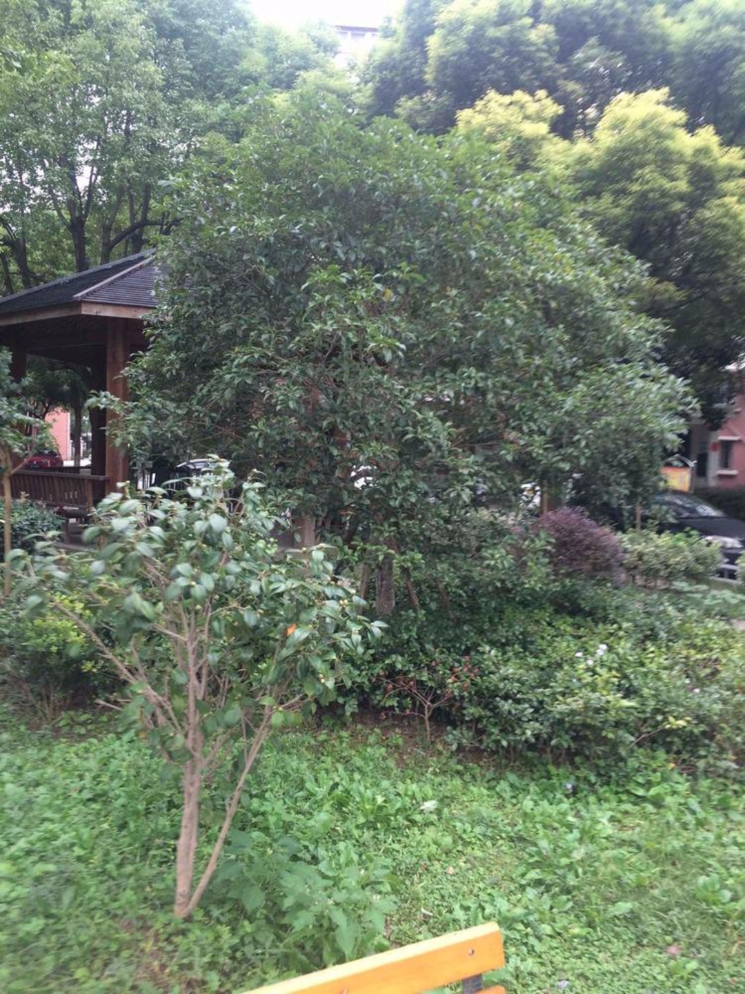 上海伟业金锦苑二村二手房房源图片