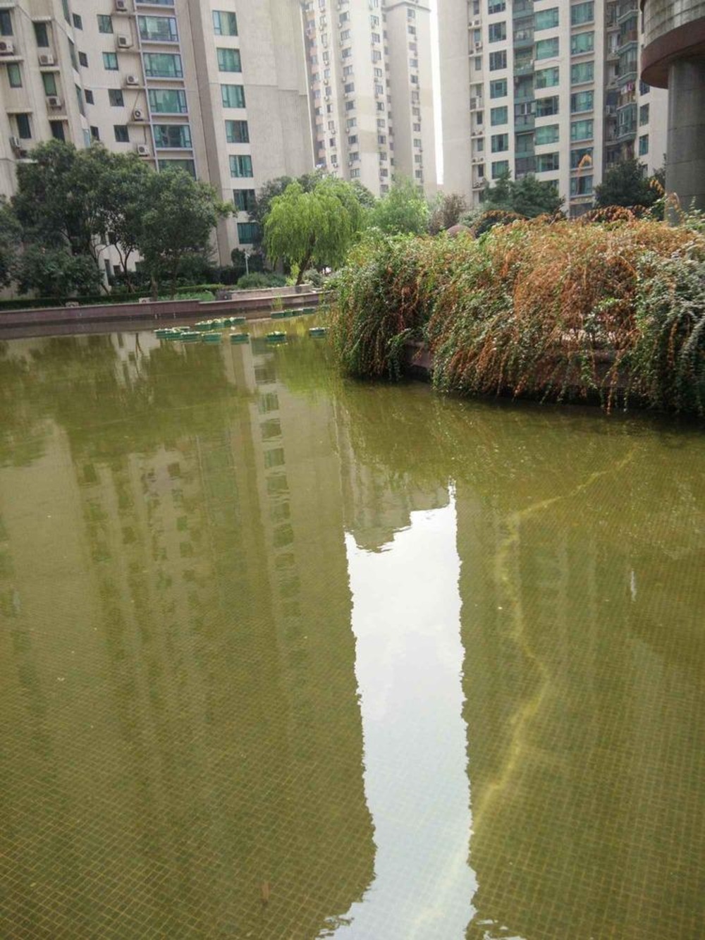 上海东方曼哈顿世纪豪庭二手房房源图片