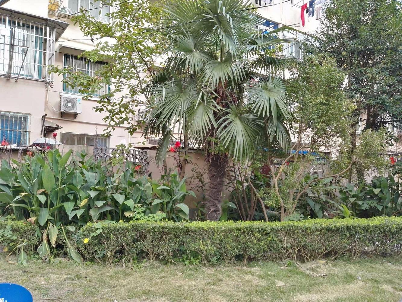 上海南新公寓二手房房源图片