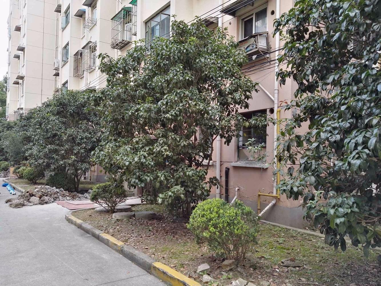 上海南新公寓二手房房源图片