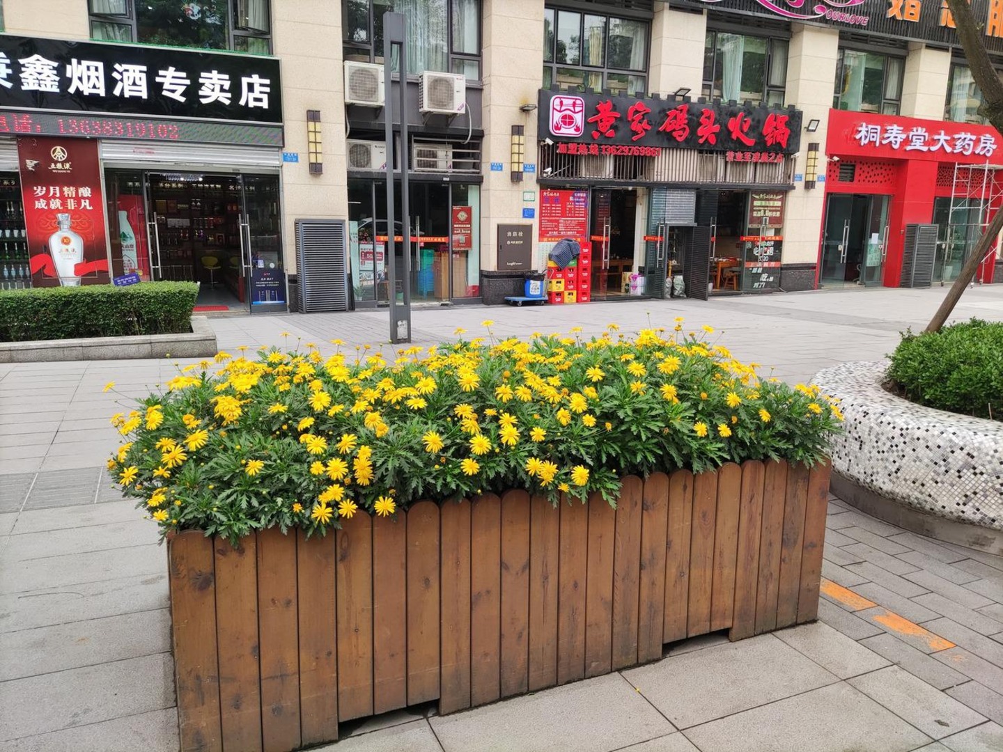 上海龙湖新壹城二手房房源图片