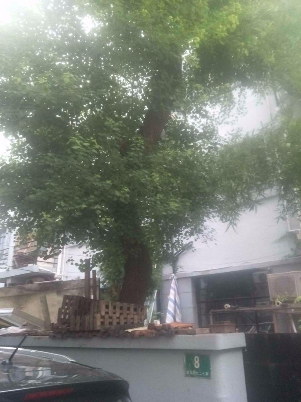 上海威海别墅二手房房源图片