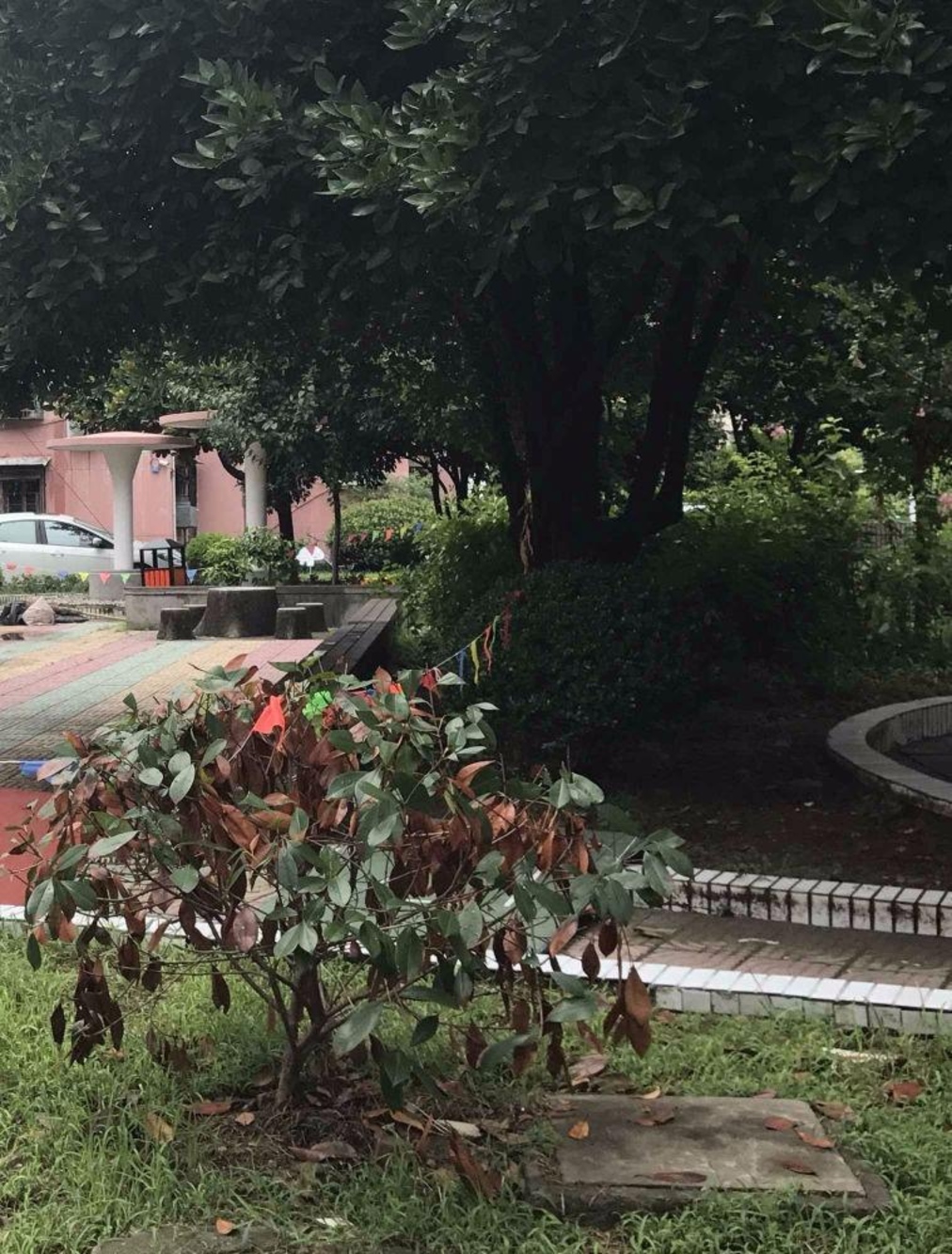 上海东荡小区二手房房源图片