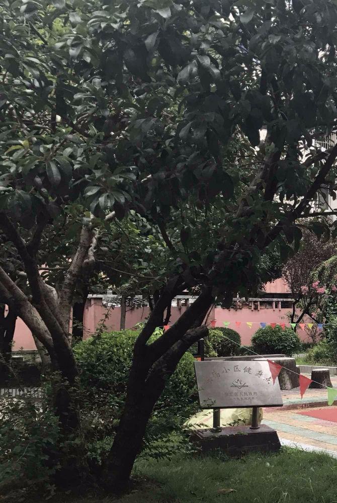 上海东荡小区二手房房源图片