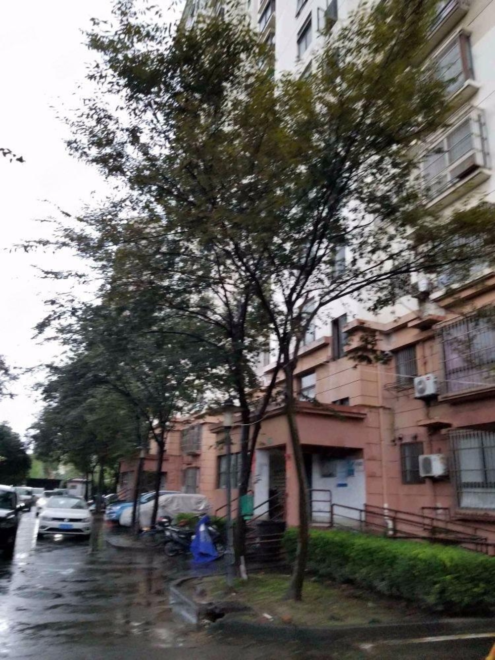 上海桂林新苑二手房房源图片