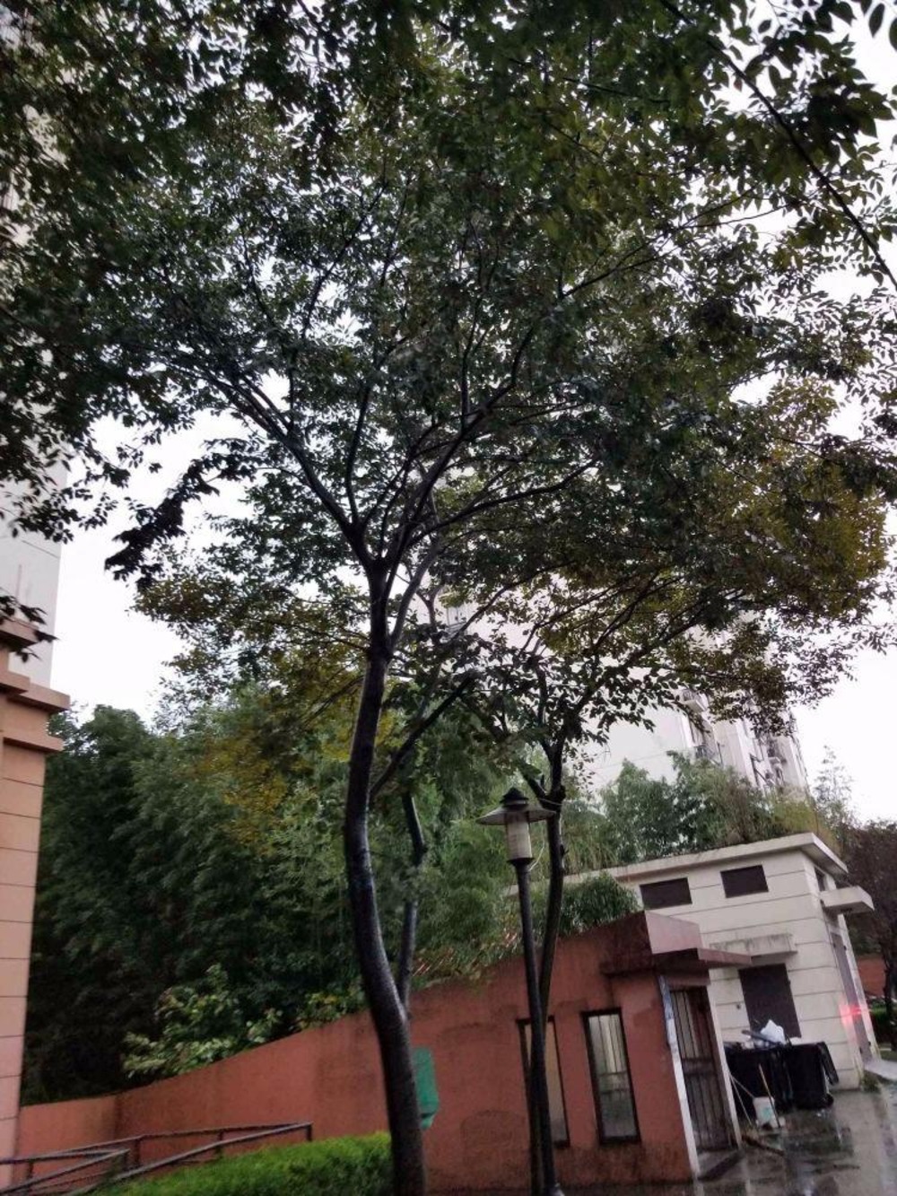 上海桂林新苑二手房房源图片