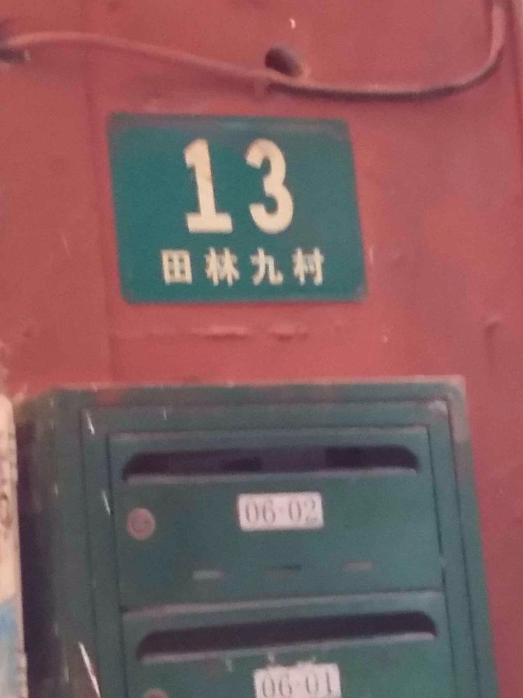 上海田林九村二手房房源图片