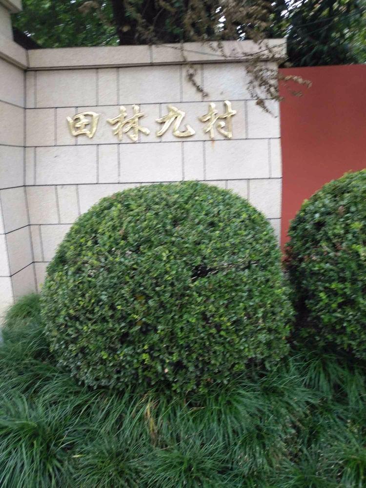 上海田林九村二手房房源图片