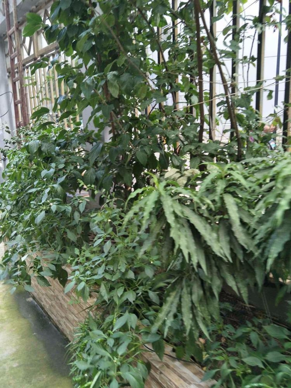 上海润康邨二手房房源图片