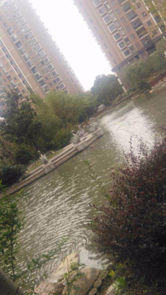上海御上海二手房房源图片