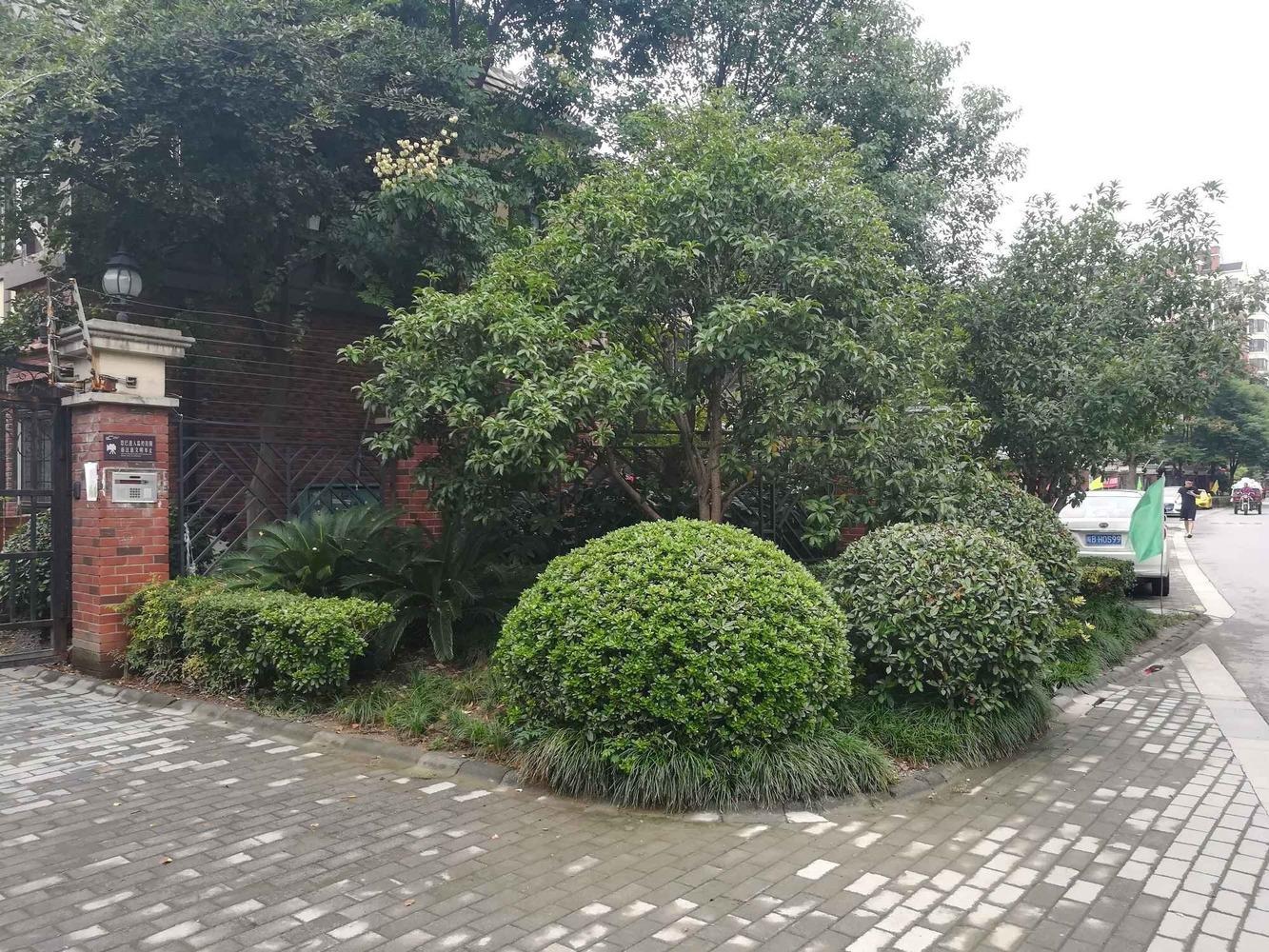 上海绿地蔷薇九里(公寓住宅)二手房房源图片