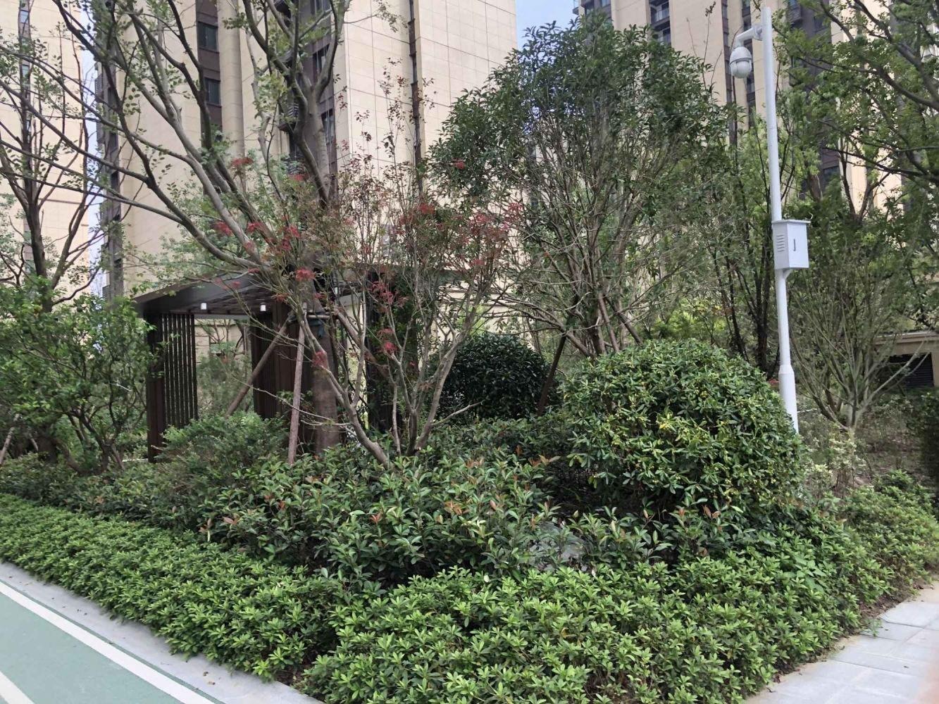 上海绿地林肯公园二手房房源图片