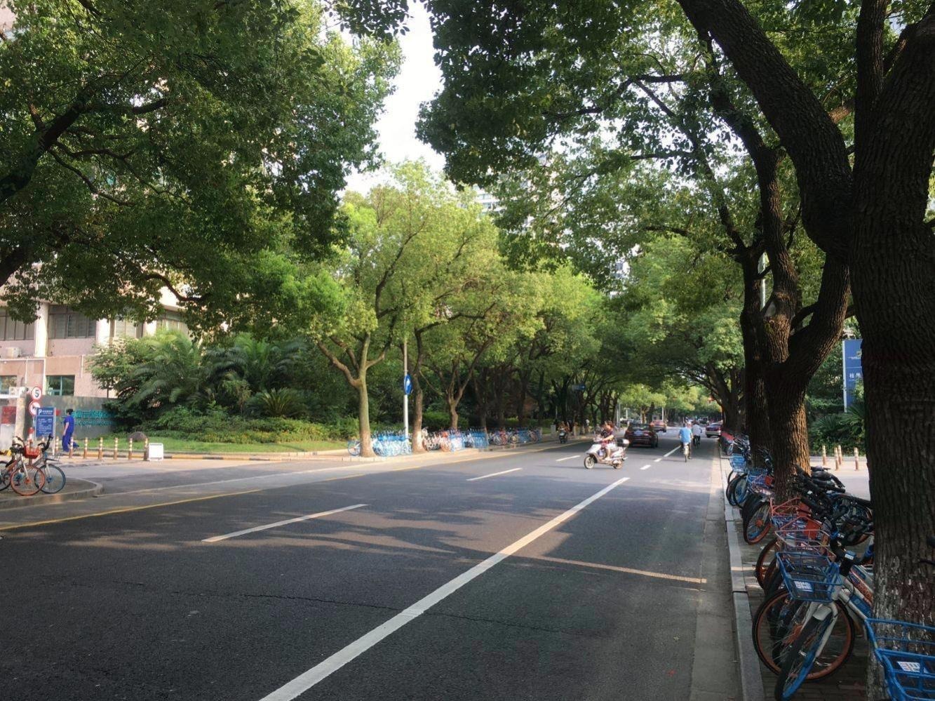 上海桂平园二手房房源图片