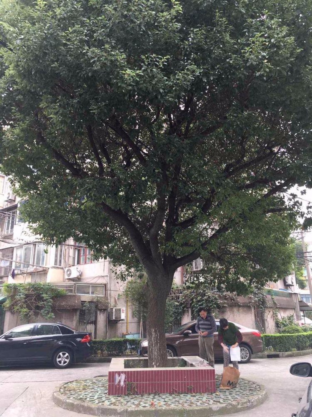 上海桃园小区二手房房源图片