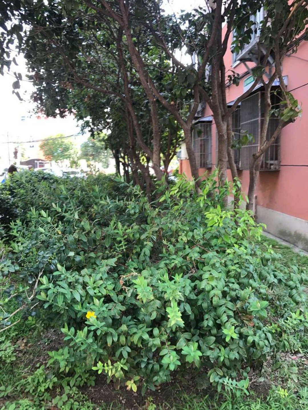 上海新泾七村二手房房源图片