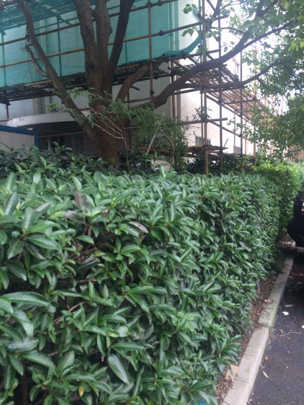 上海东陆新村六街坊二手房房源图片