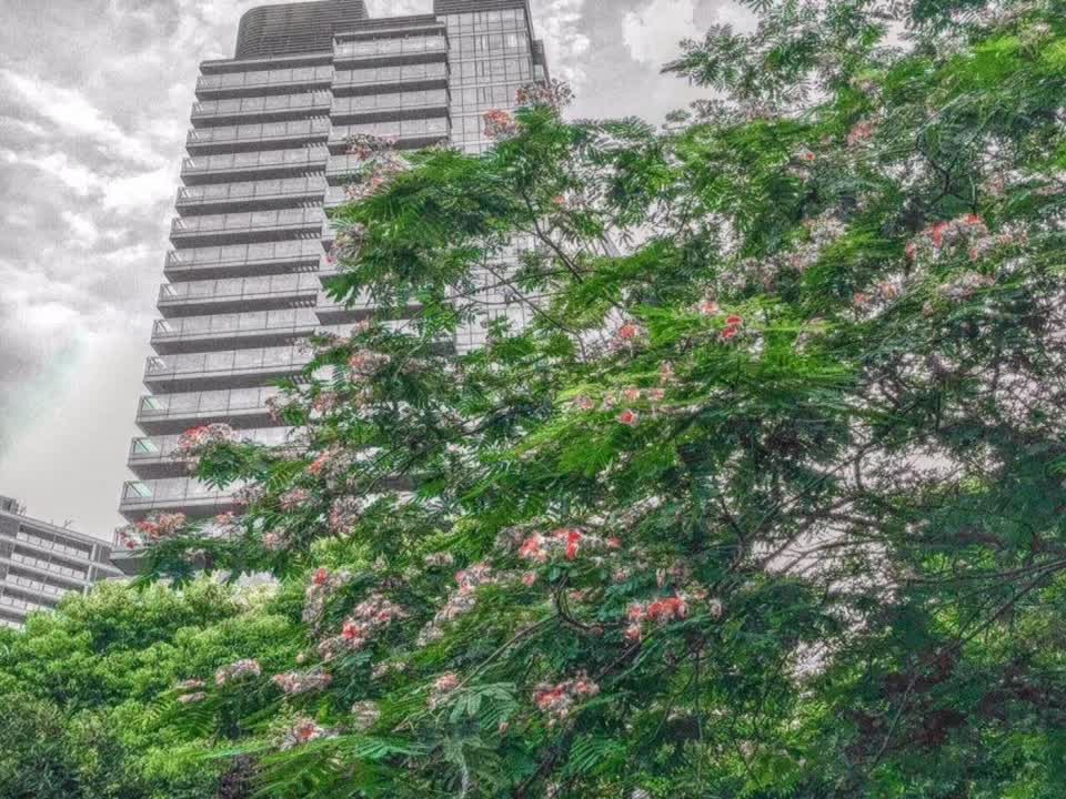 上海绿城黄浦湾二手房房源图片