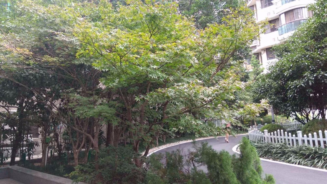 上海音乐广场二手房房源图片