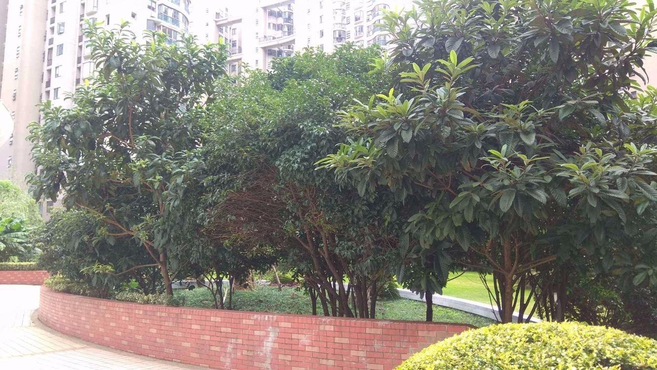 上海音乐广场二手房房源图片