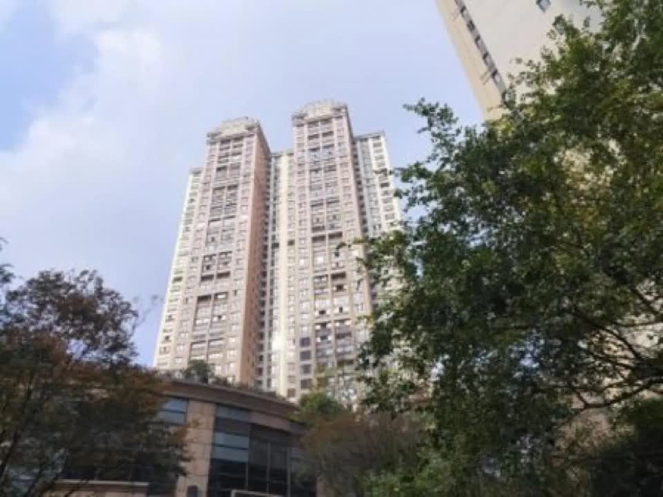 上海老西门新苑二手房房源图片