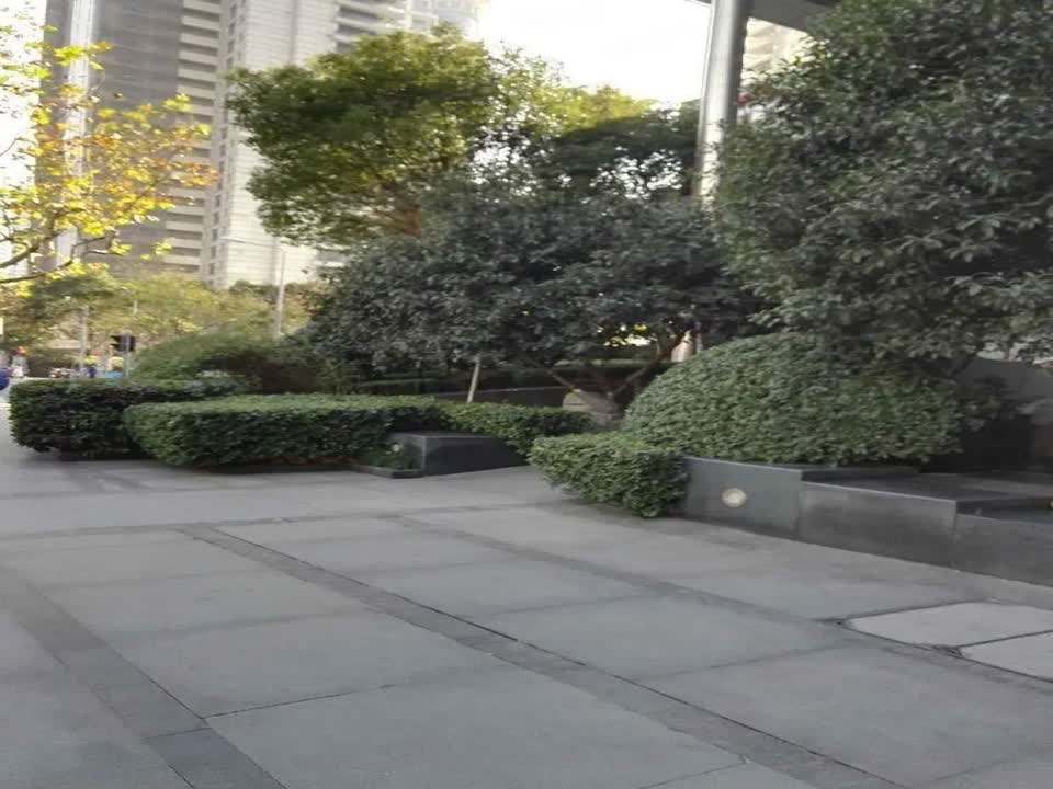 上海汤臣一品二手房房源图片