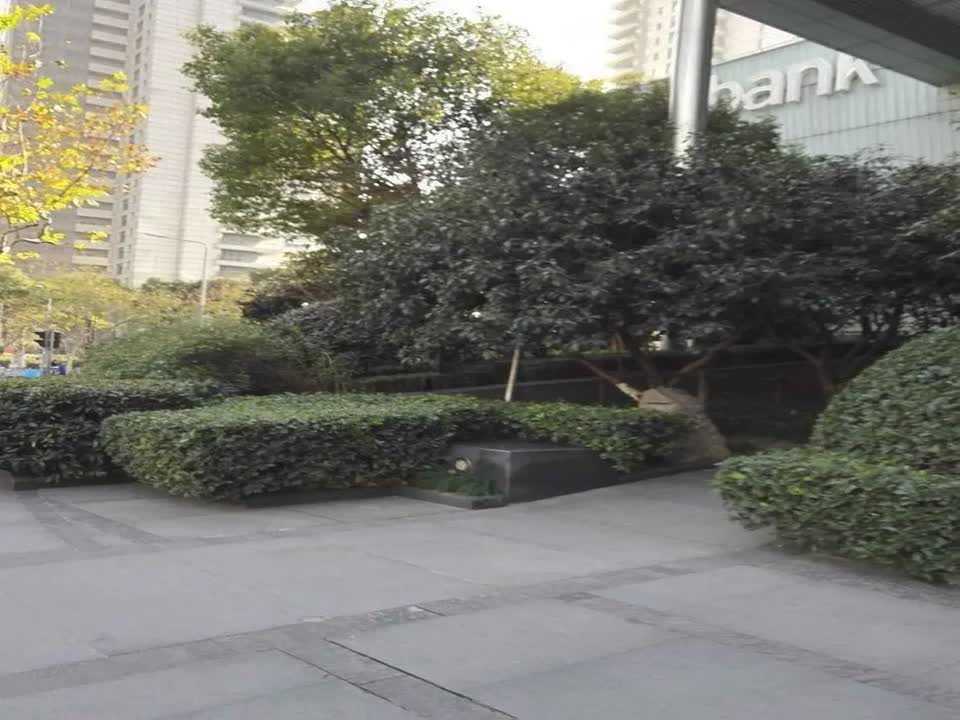 上海汤臣一品二手房房源图片