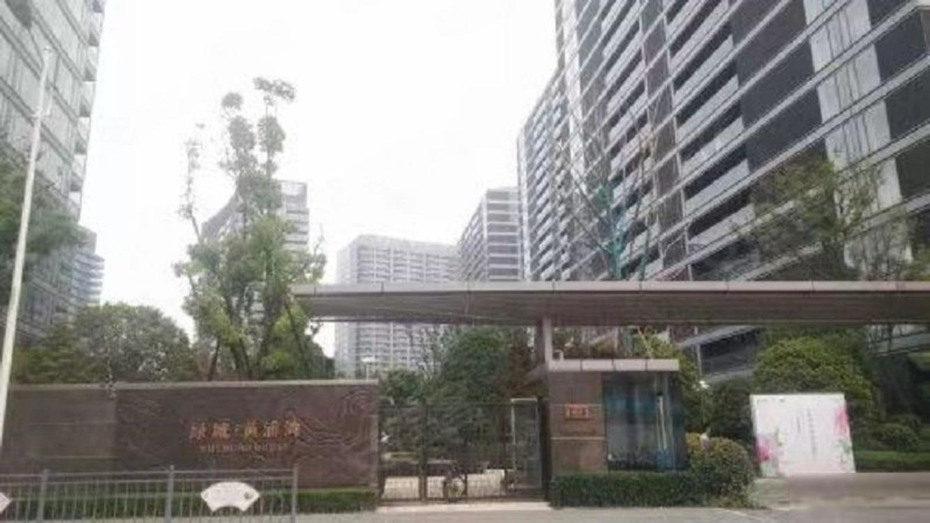 上海绿城黄浦湾二手房房源图片