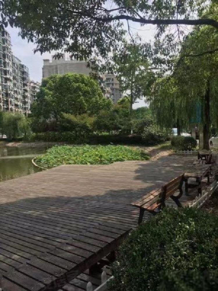 上海绿城黄浦湾二手房房源图片
