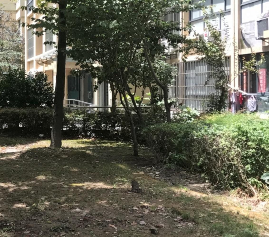 上海徐汇长春苑二手房房源图片