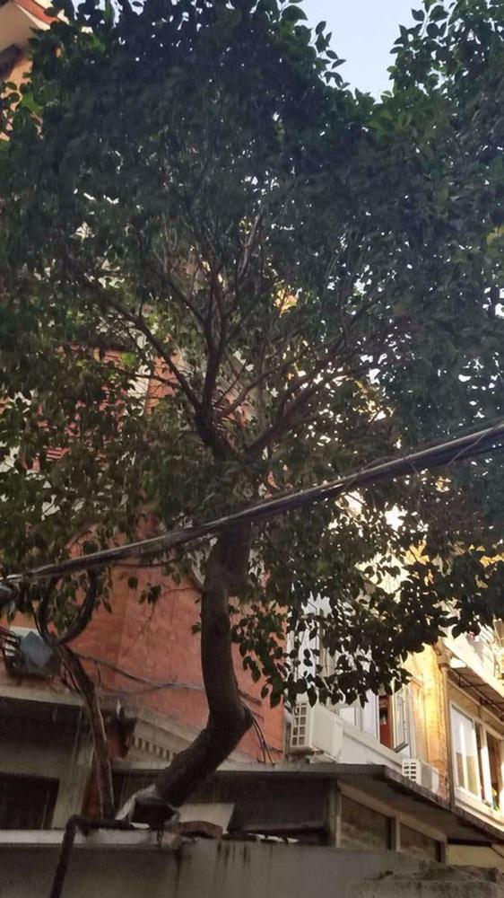 上海复兴坊二手房房源图片