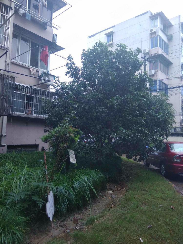 上海市光三村二手房房源图片